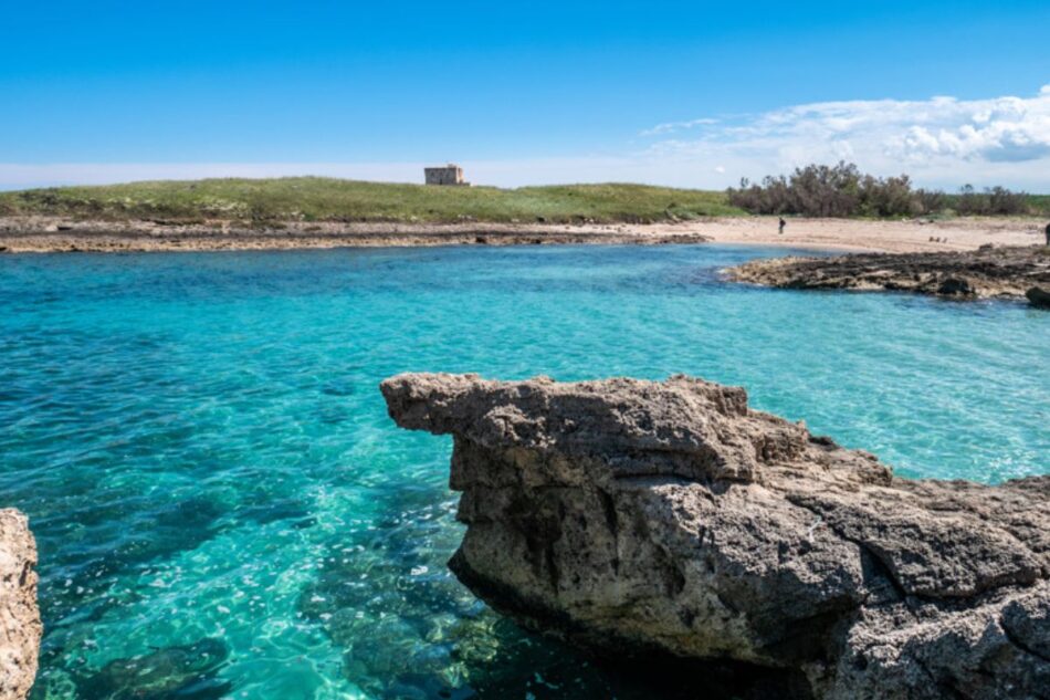 Riserva Naturale di Torre Guaceto, natura incontaminata